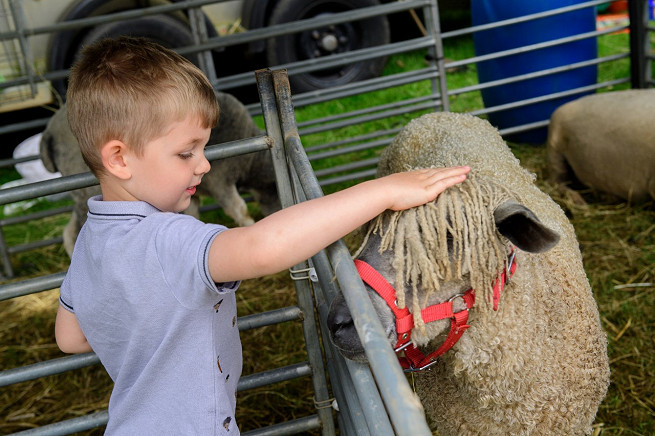 CV1324 LincsShow 240619